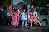 A theatre troupe performing outdoor shakespeare in silly costumes