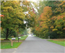 Neighborhood Street in Fall