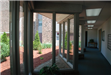 Hallway and windows with large green bushes near windows
