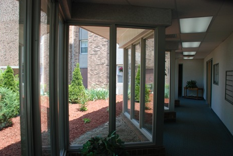 Hallway and windows with large green bushes near windows