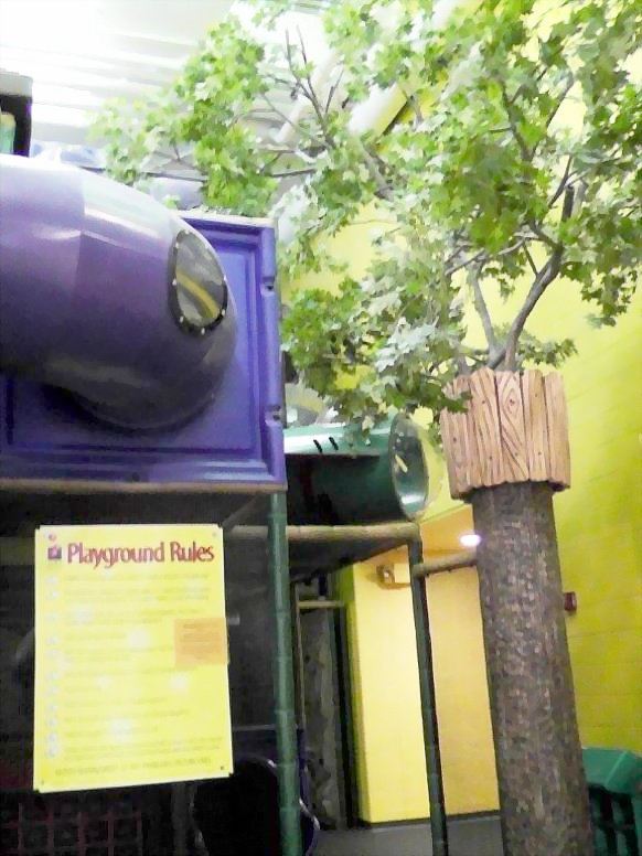 Tree Fort Indoor Play Area