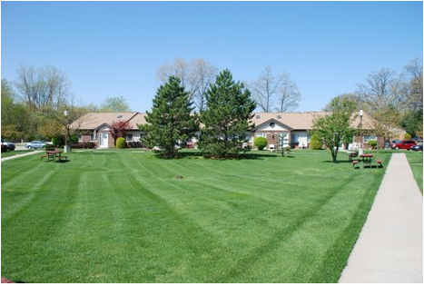 Freshly cut grass and apartments
