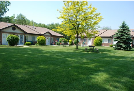 Picnic table in a yard
