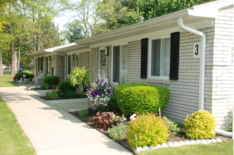 Lawn and hedge decorations