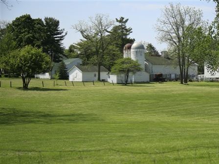 Manicured Lawn on the Greenmead Grounds